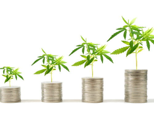 Dividends shine as cannabis company valuations tumble