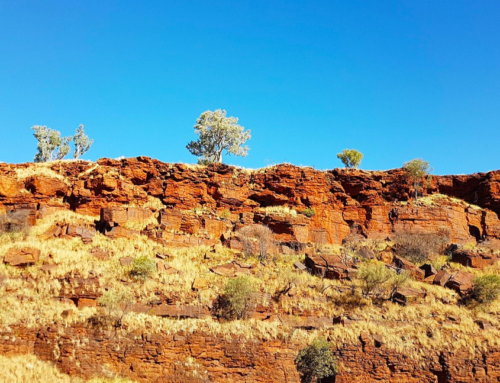 Earth’s Oldest Impact Crater is Discovered | Earth And The Environment