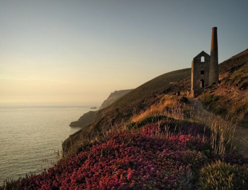 Nature market launched to support Cornwall’s environment and landowners