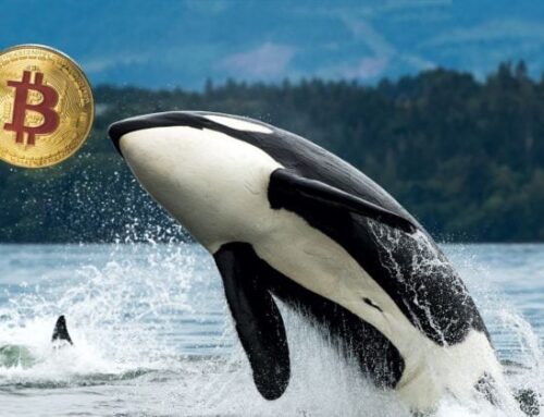 Bitcoin short whale exposed as cybercriminal using stolen funds for high-leverage trades