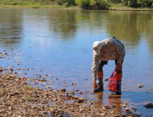 We secured new protections for a Southern biodiversity hotspot