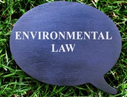 Environmental Law Monitor: Navigating the Shifts in Environmental Policy and Law Under the Trump Administration [Podcast]