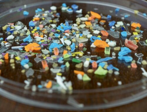 What’s that microplastic? Advances in machine learning are making identifying plastics in the environment more reliable