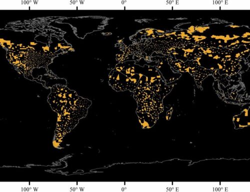 Global rooftop solar panels could cool Earth by 0.13°C, modeling study suggests