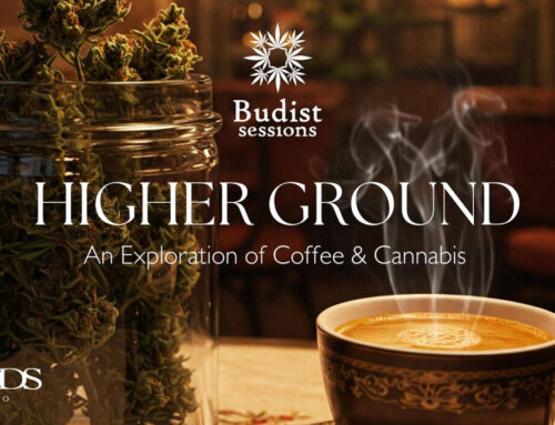 Cuppings & Bowls At Higher Ground: An Exploration Of Coffee And Cannabis In Los Angeles