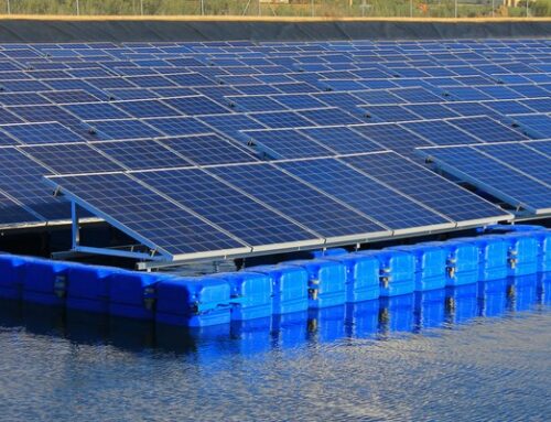 Farewell to taking up space on land – Japan invents a new form of energy by putting more than 50,000 solar panels in the water