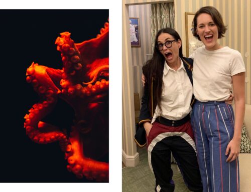 Phoebe Waller-Bridge’s next project is… an octopus documentary?