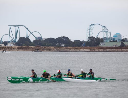 Environmental groups sue SeaWorld alleging fireworks pollute Mission Bay