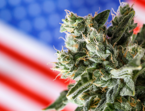 NORML Op-Ed: Marijuana Consumers Are Under Attack in Multiple States and It’s Time to Fight Back NORML Op-Ed: Marijuana Consumers Are Under Attack In Multiple States, And It’s Time To Fight Back