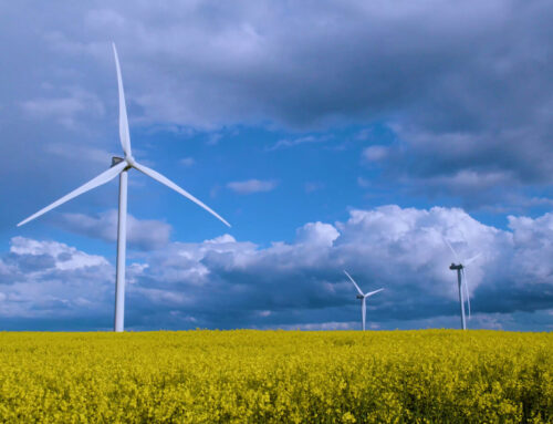 Texas Senate Votes To Shred Renewable Energy Rules