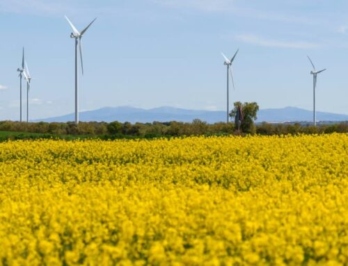 Renewable energy in the dock in Spain after blackout