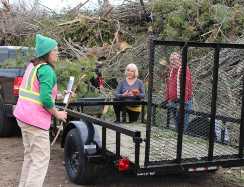 Northern Michigan ice storm debris become renewable energy: ‘We were green before green wa