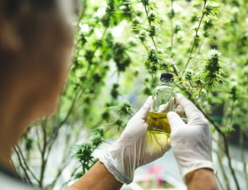 Sen. Padilla Pushes, But DEA Nominee Terry Cole Won’t Commit to Cannabis Rescheduling