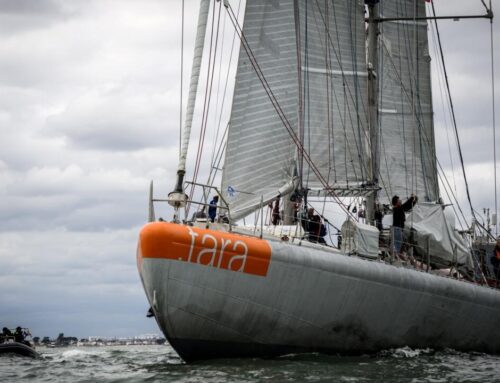 French schooner Tara charts a course for change ahead of UN oceans summit