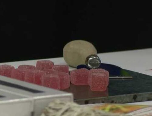 Kentucky hosts cannabis convention as state prepares for medical marijuana