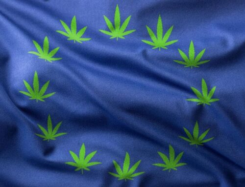 With Federal Legalization Stalled, Cannabis Companies Are Finding A New Green Rush In Euro