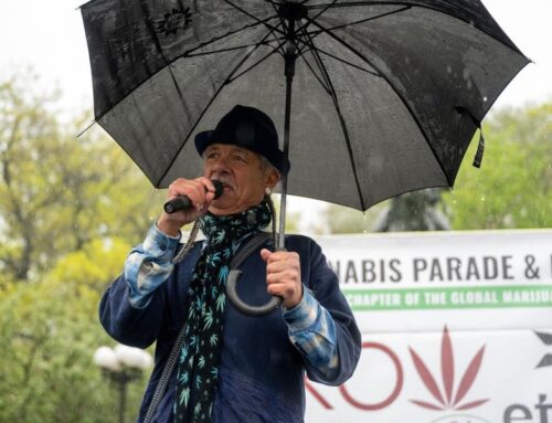 California Cannabis: Setting The Record Straight On The One-Acre Cap