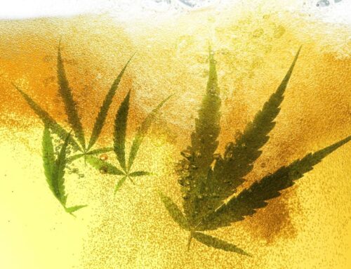 Why One-Time Cannabis Darling Tilray Is Now High On Beer