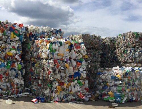 World Environment Day: Solving plastic pollution is still a priority