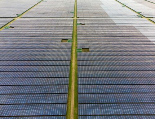French Power Price Plunges Below Zero as Solar Floods the Grid