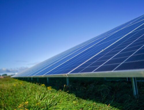 Renewable Firm Vena’s Spinoff Eyes Green Data Centers in Asia