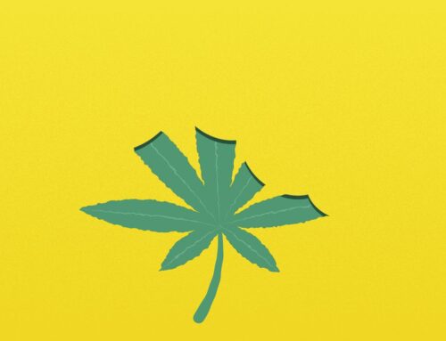 Inside “Toke & Trail,” Massachusetts’ medical cannabis meetups