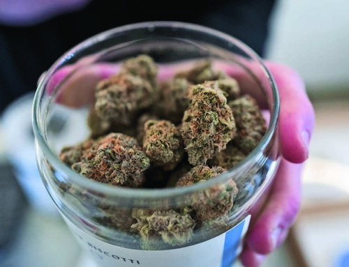 Redmond to begin accepting cannabis dispensary applications