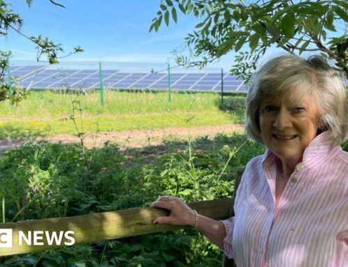 What is life like living the shadow of Ashby’s solar farms?