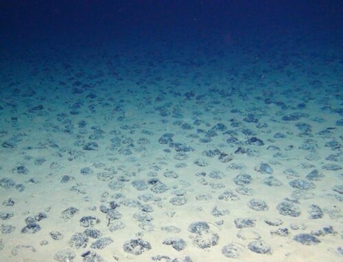 Environmental risk weighs heavily on the possible rewards of deep sea mining