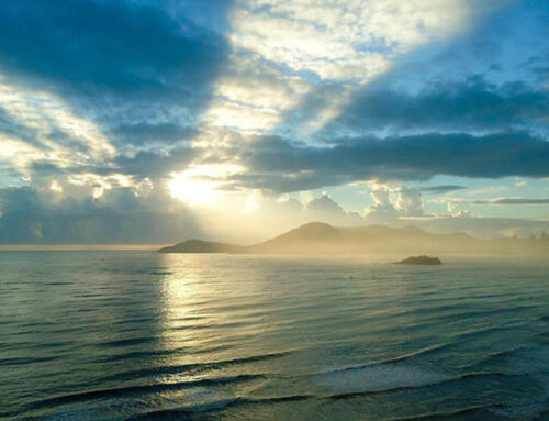 Climate-driven changes to ocean colour fuel urgency ahead of UN summit
