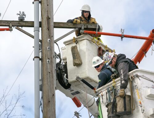 Liberal Oregon and Washington vowed to pioneer green energy. Almost every other state Is b