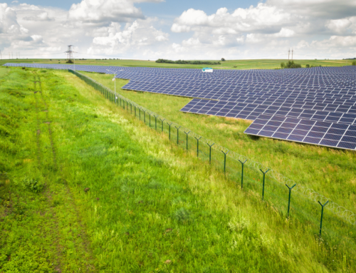 Empowering Nepal’s Agriculture: How Decentralized Renewable Energy Can Transform Farming A