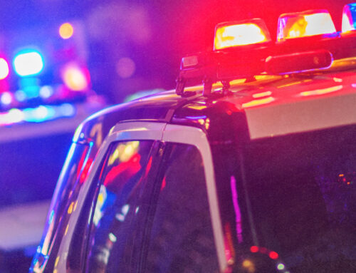 DEA Raid Confiscates Over 29,000 Cannabis Plants in New York