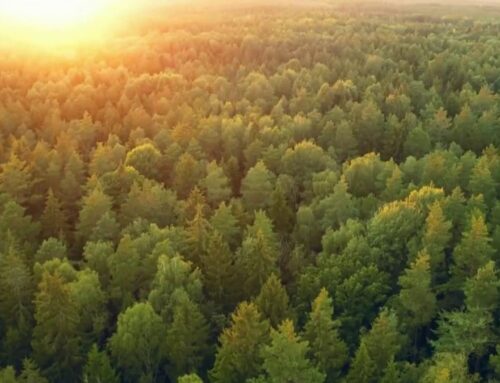 New report finds programs helping Connecticut’s environmental quality