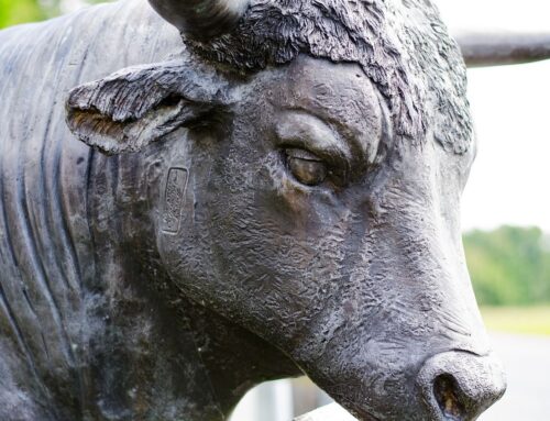Bitcoin (BTC) Bull James Wynn Close to Total Liquidation as Losses Near $100M