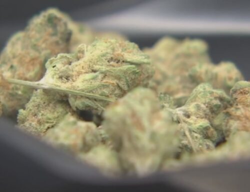 Illinois bill would prevent car searches based on raw cannabis smell