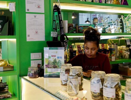 Thailand to require medical certificates for buying cannabis