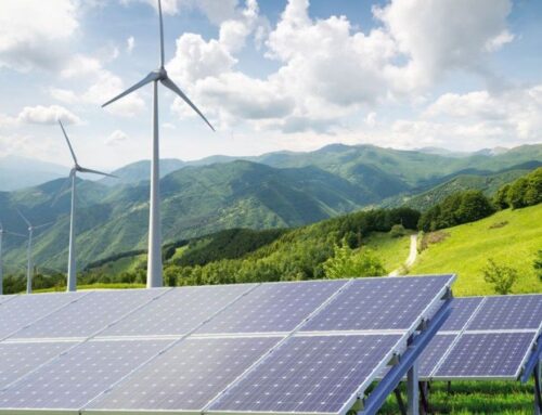 Kazakhstan sees strong growth in renewable energy share in 2024