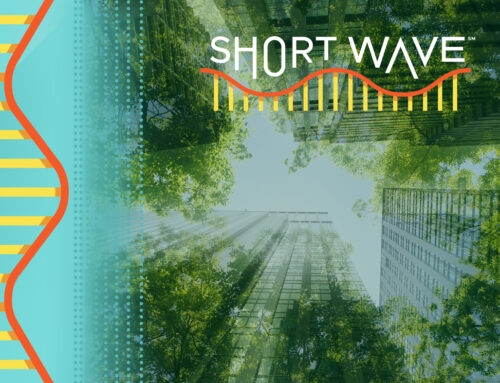 How tech companies could shrink AI’s climate footprint : Short Wave