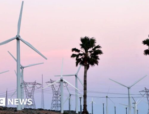 US green energy braces for federal funding cuts