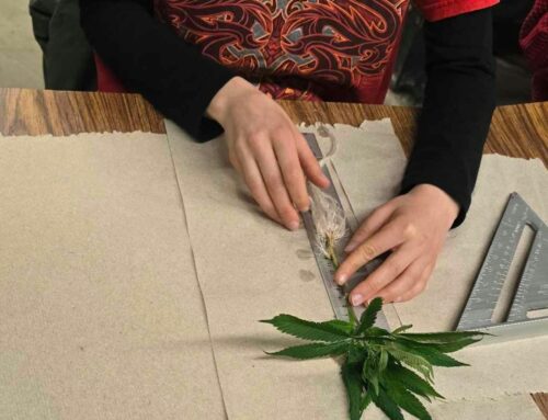 Dabney: Blazing new trails in cannabis research and education