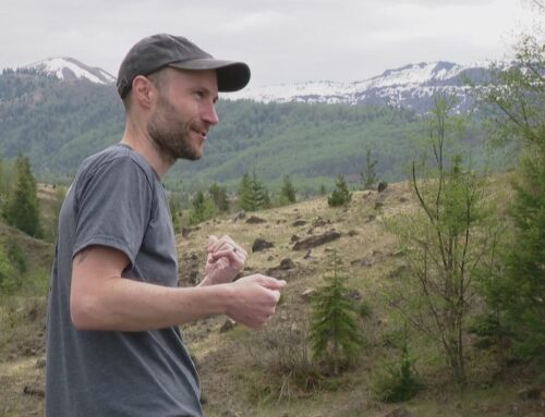 Mount St. Helens environment recovering 45 years after eruption