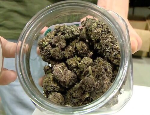 White Earth Nation gets approval to open cannabis shops off tribal land