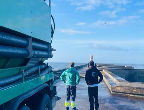Eco Wave Power Pays First Installment of Grid Connection Fee for 1MW Project in Porto, Por