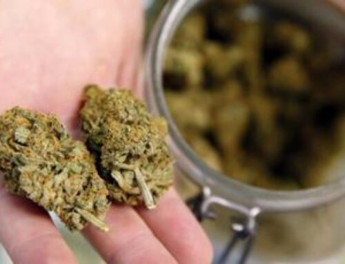 Judge rejects bid for emergency cannabis testing overhaul in lawsuit alleging Colorado fai