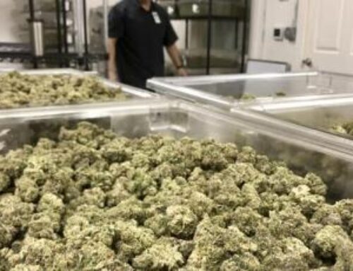 Kentucky breaks ground on state’s first medical cannabis safety compliance facility