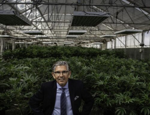 Cannabis executive and former cabinet secretary considering run for governor
