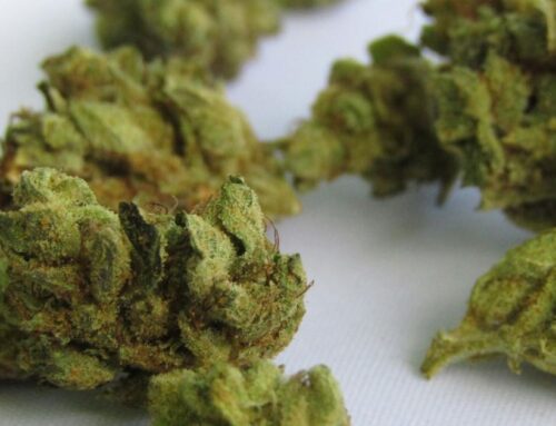 Bill would change Tennessee’s cannabis market