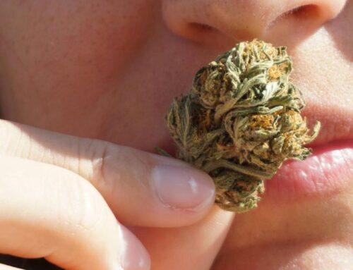 Minority cannabis owners call for more state funding and less regulation