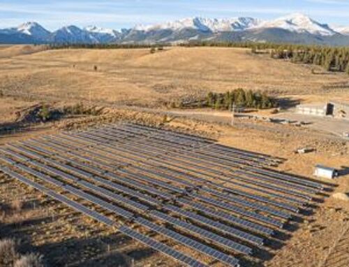 C4 brings solar garden back online